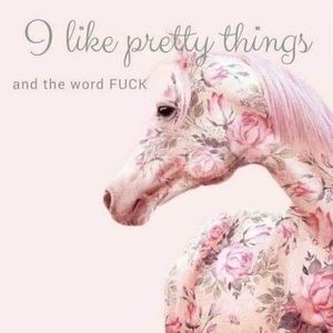 Meet your Posher, Miranda